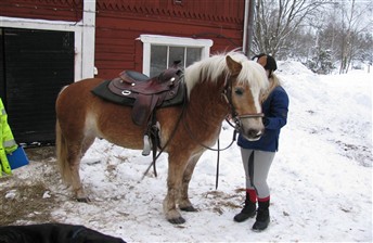 Strax innan provridningen
